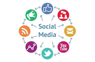 Digital Marketing Services in Pune | Digital Grow Online